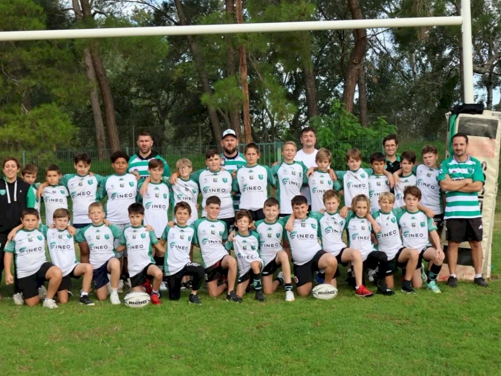 Benjamins F12/M12