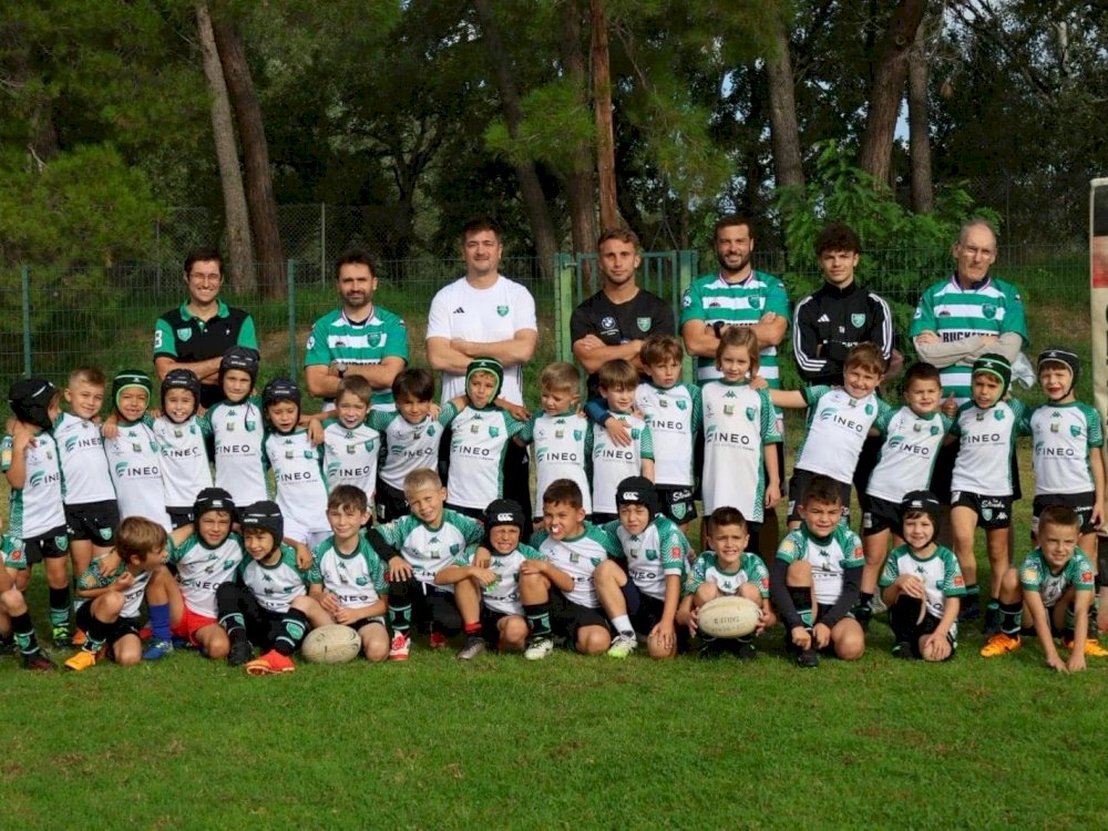 Mini-poussins F8/M8